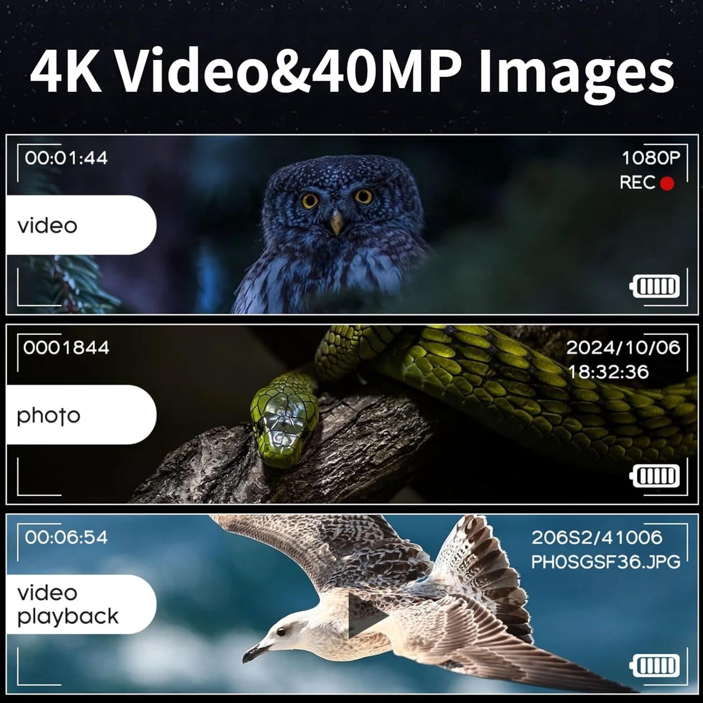 Display of 4K video and 40MP images with owl, snake, and seagull.