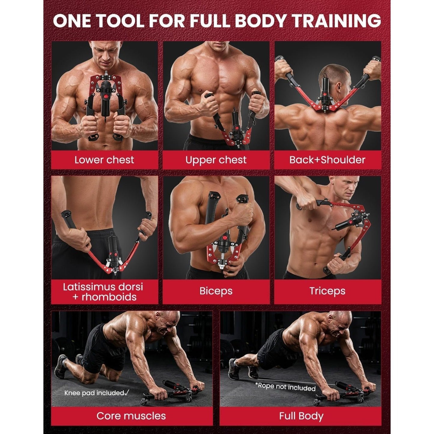 Fitness tool for full body training with various muscle groups shown.