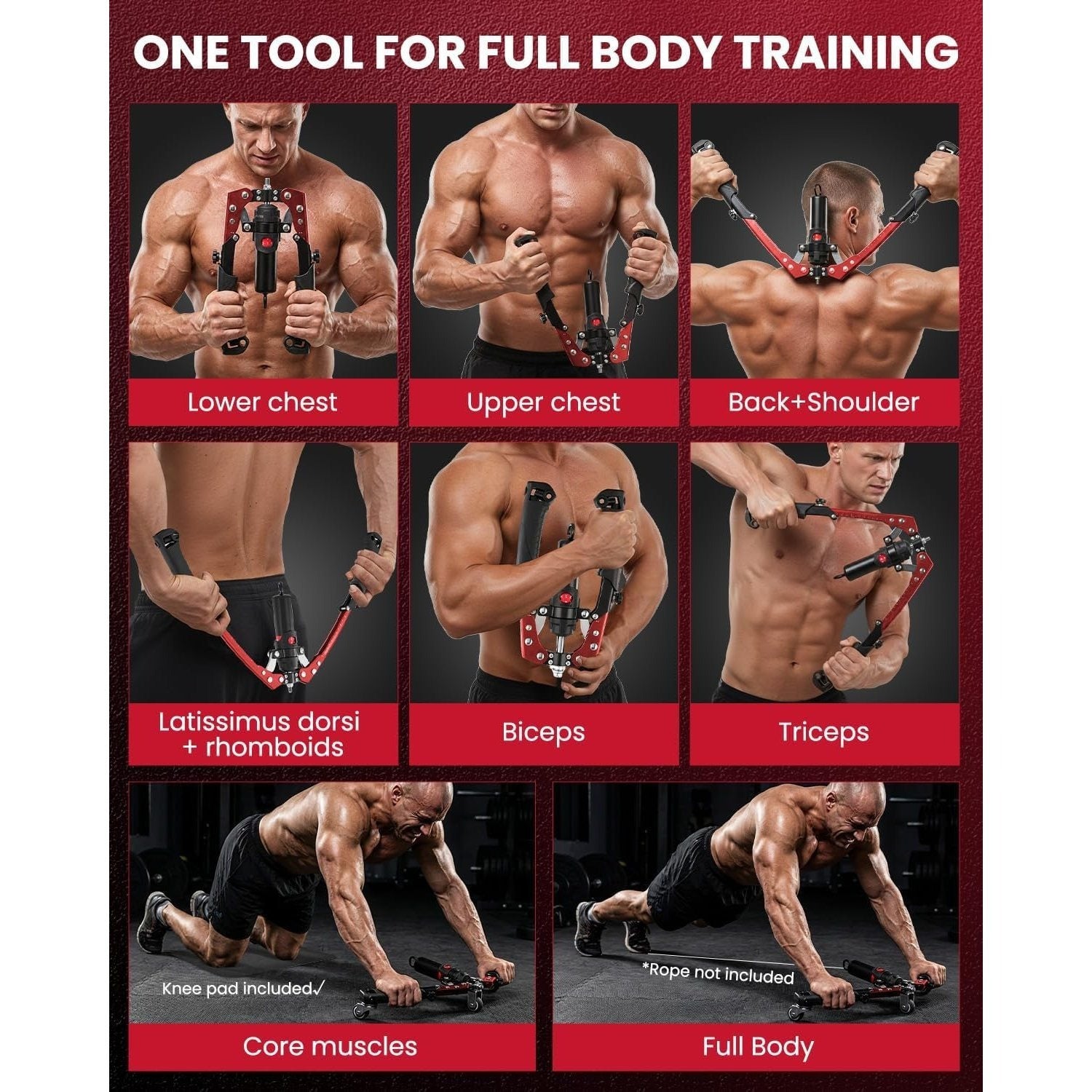 Fitness tool for full body training with various muscle groups shown.